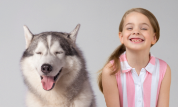 How Gum Disease Causes Heart Attacks